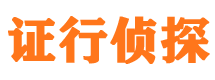 鸠江侦探公司